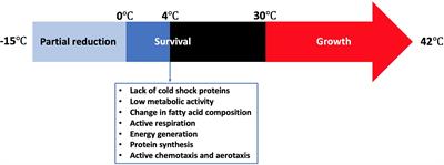 Survival and Control of Campylobacter in Poultry Production Environment